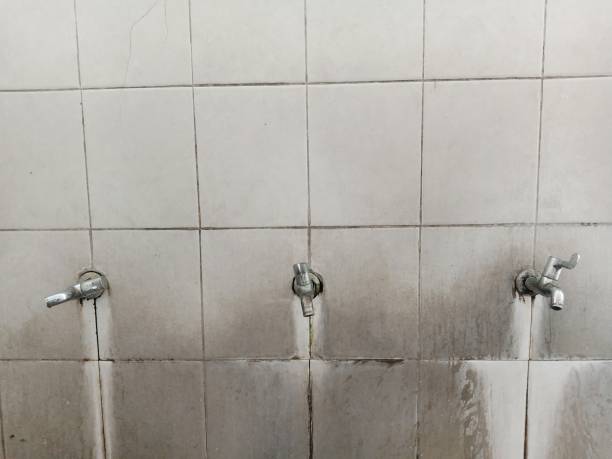 Best Water damage cleanup near me  in Nevada, IA