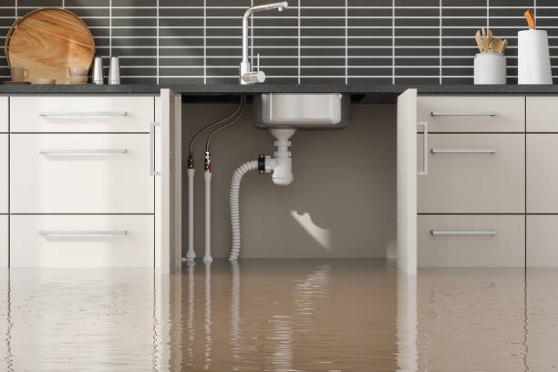 Best 24-hour water damage restoration  in Nevada, IA