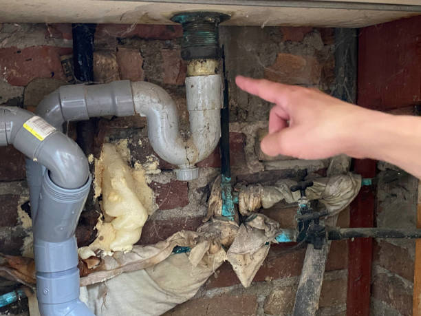 Best 24/7 water damage repair  in Nevada, IA