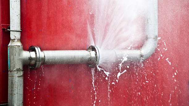 Best Commercial water damage restoration  in Nevada, IA